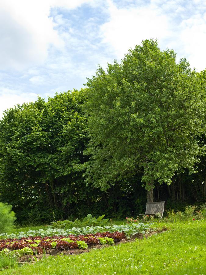 Biohotel Pausnhof (Adults Only) Sankt Oswald-Riedlhuette Zewnętrze zdjęcie